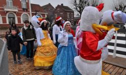 Arbre De Nol Spf   034